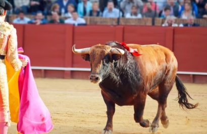 En 2027 entrará en vigor la prohibición de corridas de toros y peleas de gallos en Colombia