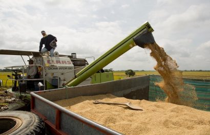 En estos sectores productivos se concentra la población económicamente activa en Ecuador. (Ministerio de Agricultura)