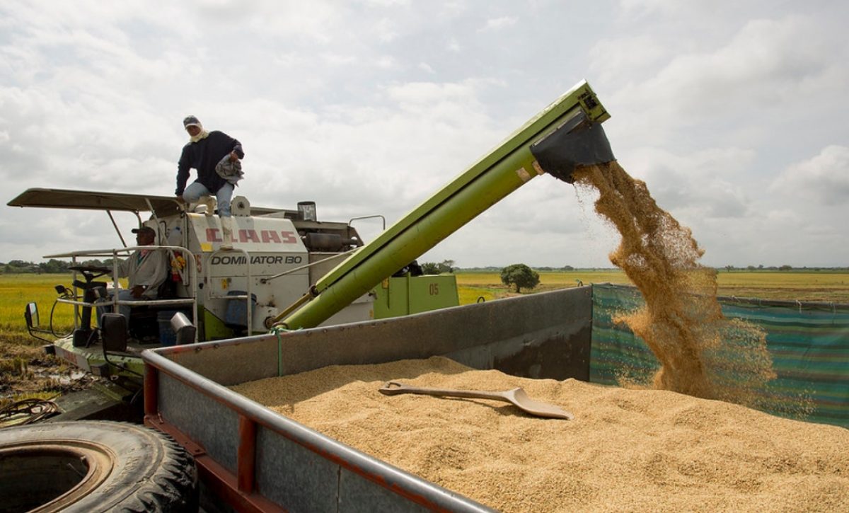 En estos sectores productivos se concentra la población económicamente activa en Ecuador. (Ministerio de Agricultura)