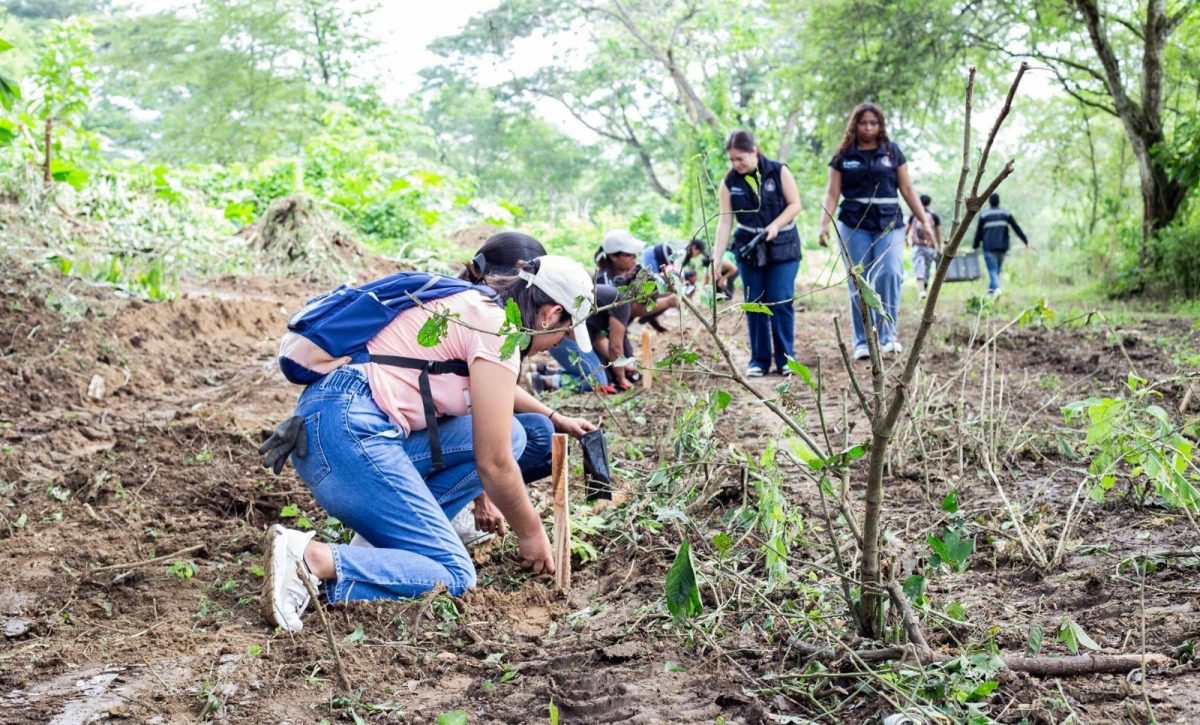 Estudiantes universitarios participaron en la jornada de reforestación.