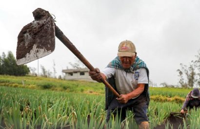 Entrega del Bono Raíces se aplaza: beneficiarios deberán esperar hasta octubre