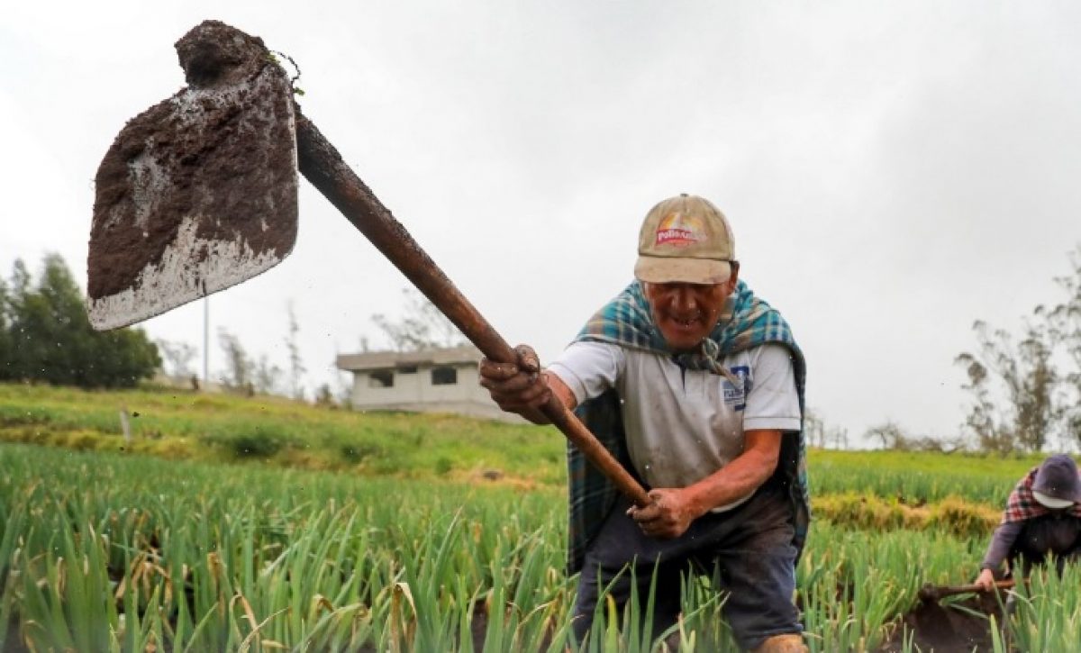 Entrega del Bono Raíces se aplaza: beneficiarios deberán esperar hasta octubre