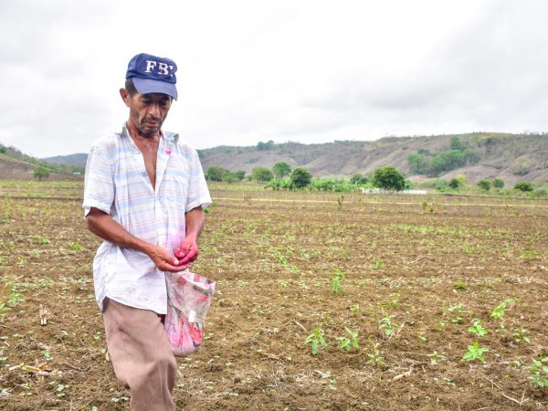 Envejecimiento de agricultores en Ecuador amenaza la seguridad alimentaria