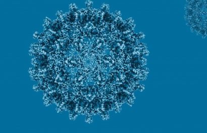 Cada 30 segundos muere una persona por hepatitis: la OMS pide actuar ya