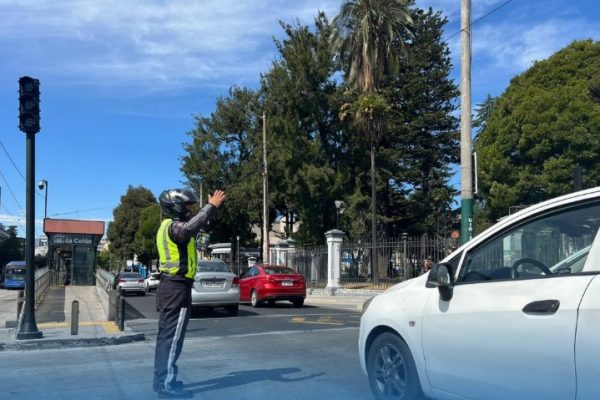 Exoneración de multa por calendarización en Quito: placas terminadas en 4 beneficiadas