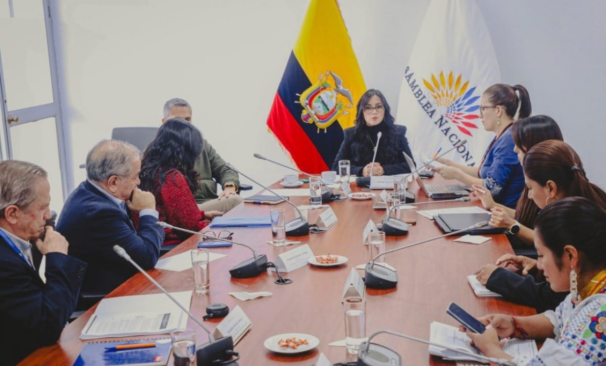 Expertos proponen fortalecer la protección de la primera infancia en proyecto de reforma al Código de Niñez y Adolescencia. (AN).