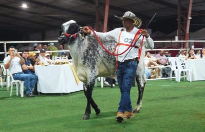 Expogan Ecuador 2025 Un evento clave para la ganadería de alta genética en el país