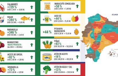 Estos son los productos no tradicionales de Ecuador que llegan a nuevos mercados internacionales. (Gemini).