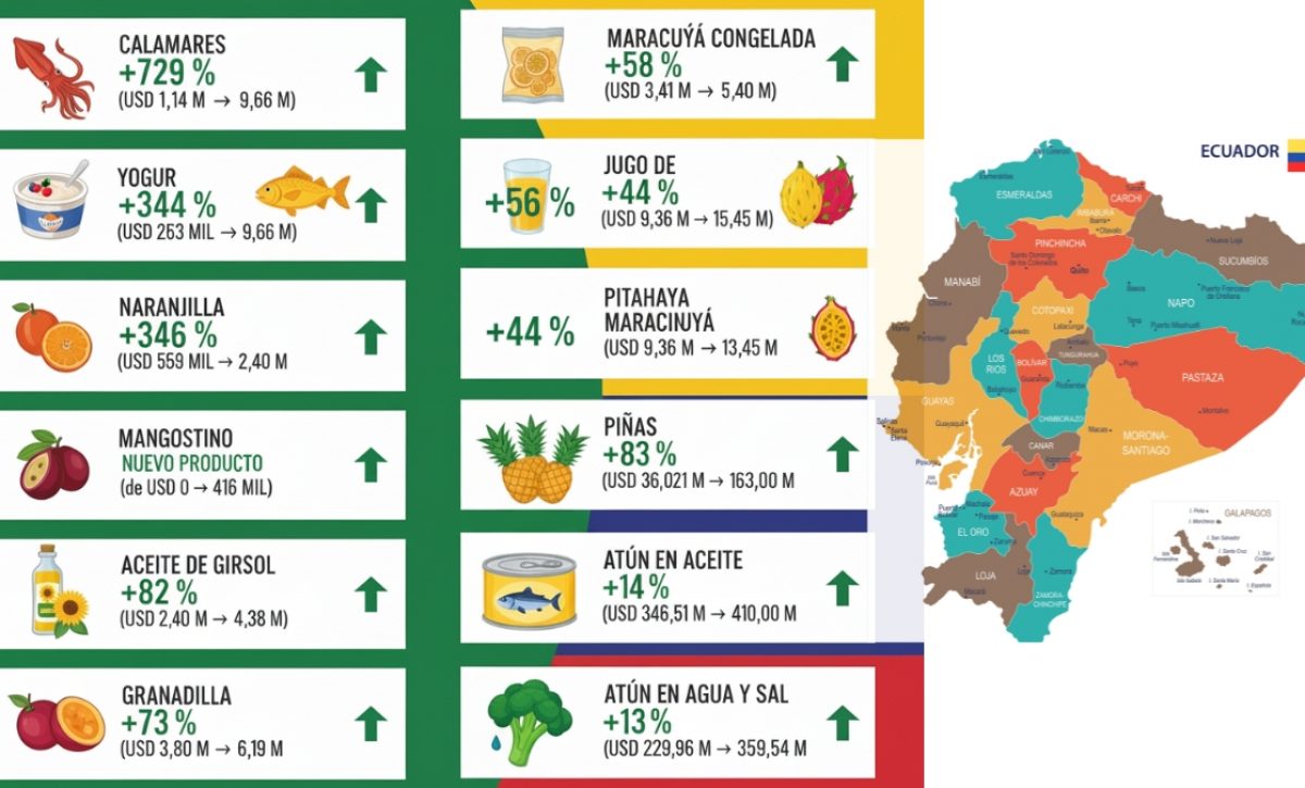 Estos son los productos no tradicionales de Ecuador que llegan a nuevos mercados internacionales. (Gemini).
