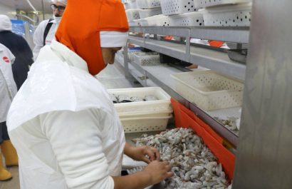 Exportadores ecuatorianos buscan soluciones ante tarifas anunciadas por Donald Trump