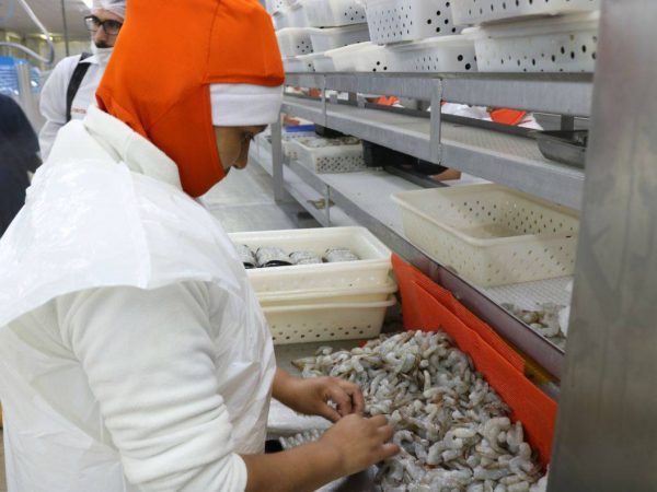 Exportadores ecuatorianos buscan soluciones ante tarifas anunciadas por Donald Trump