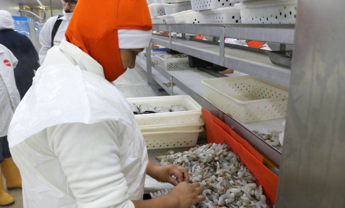Exportadores ecuatorianos buscan soluciones ante tarifas anunciadas por Donald Trump