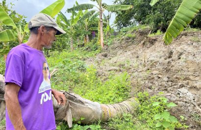 Las plantaciones de plátano, limón y palmeras, han cedido con los deslizamientos de tierra.