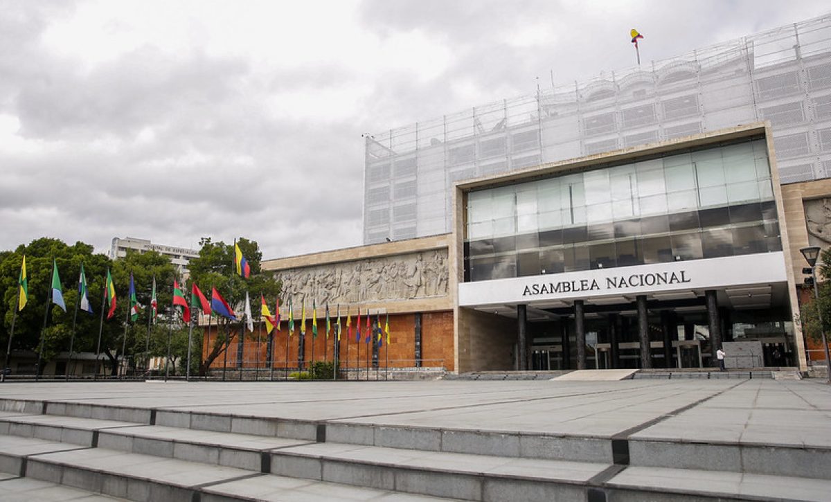 Fiscalización del paro nacional estará en manos de la Comisión de Seguridad de la Asamblea Nacional, controlada por ADN.