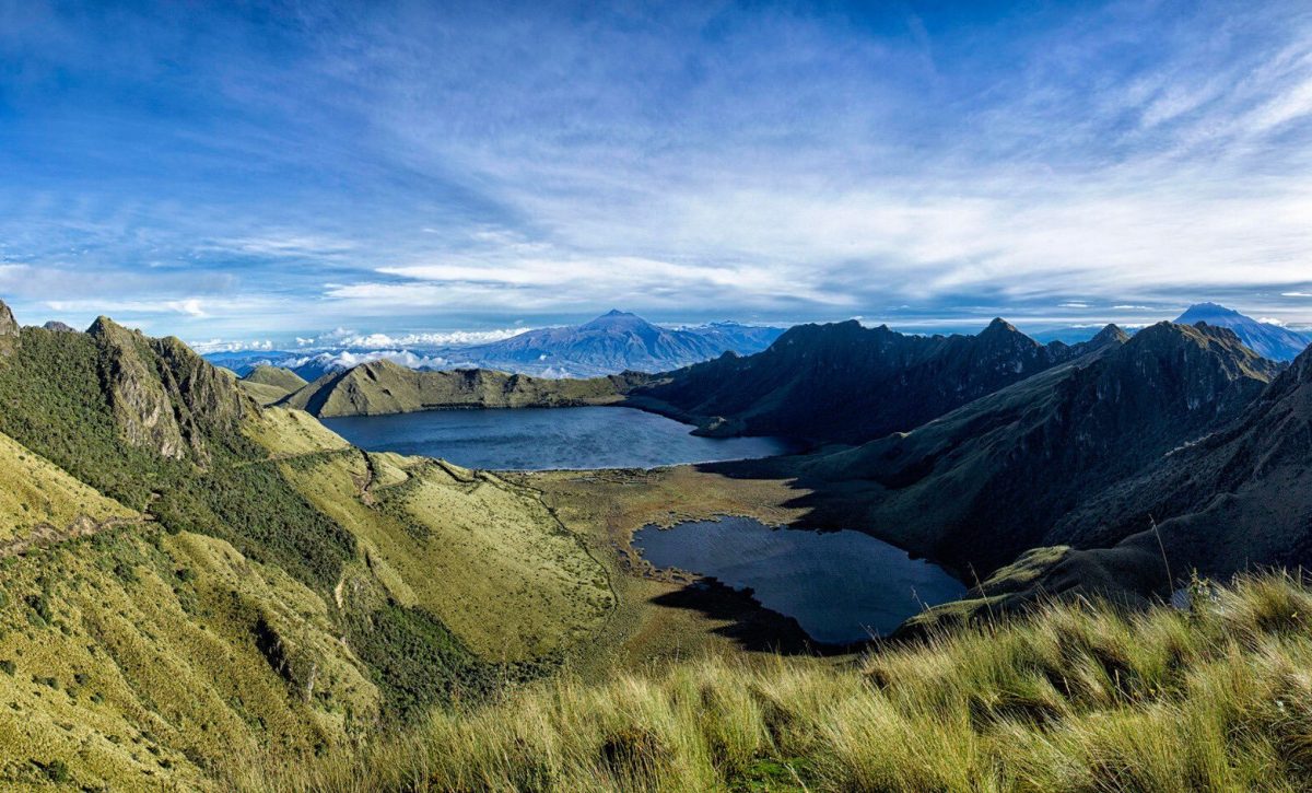 Fundación Cóndor Andino critica Ley por Riesgos a la Biodiversidad