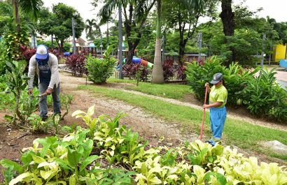 Fundación Siglo XXI de Guayaquil ejecutó una jornada de barrido, recolección de material vegetativo y riego en el parque Junín.