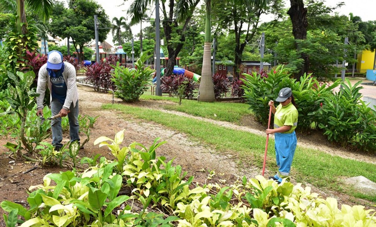 Fundación Siglo XXI de Guayaquil ejecutó una jornada de barrido, recolección de material vegetativo y riego en el parque Junín.