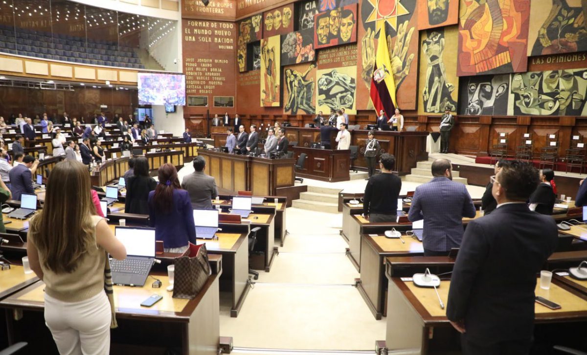 La resolución, respaldada por la mayoría oficialista, condena los actos de violencia y los daños a bienes públicos y privados. FOTO: @AsambleaEcuador.