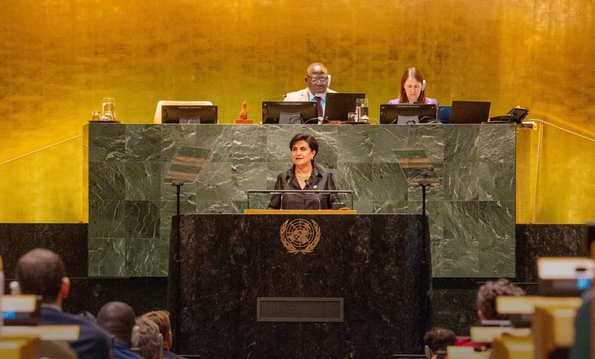 Gabriela Sommerfeld destaca en la ONU la cooperación de Ecuador.