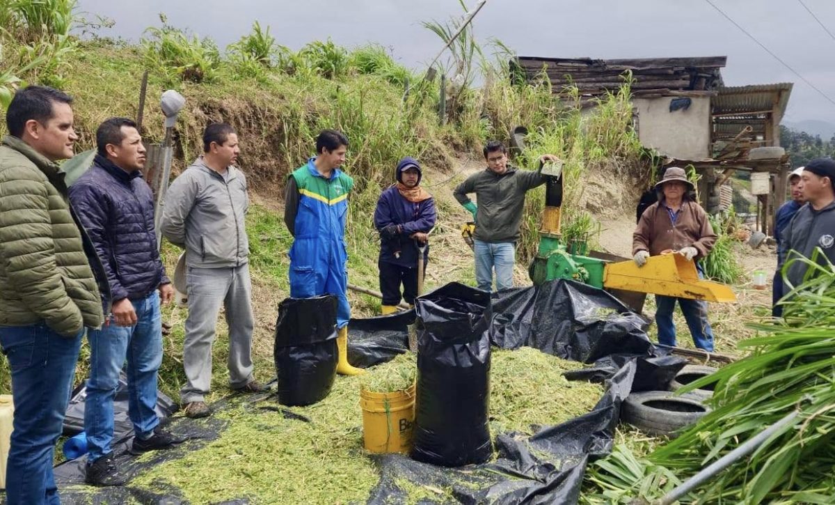 Ganaderos de Loja se preparan contra la sequía con una técnica milenaria