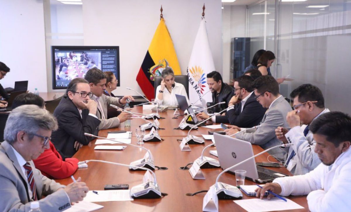 Garantías Constitucionales avala proyectos de ley para proteger derechos colectivos y sociales. (AN)