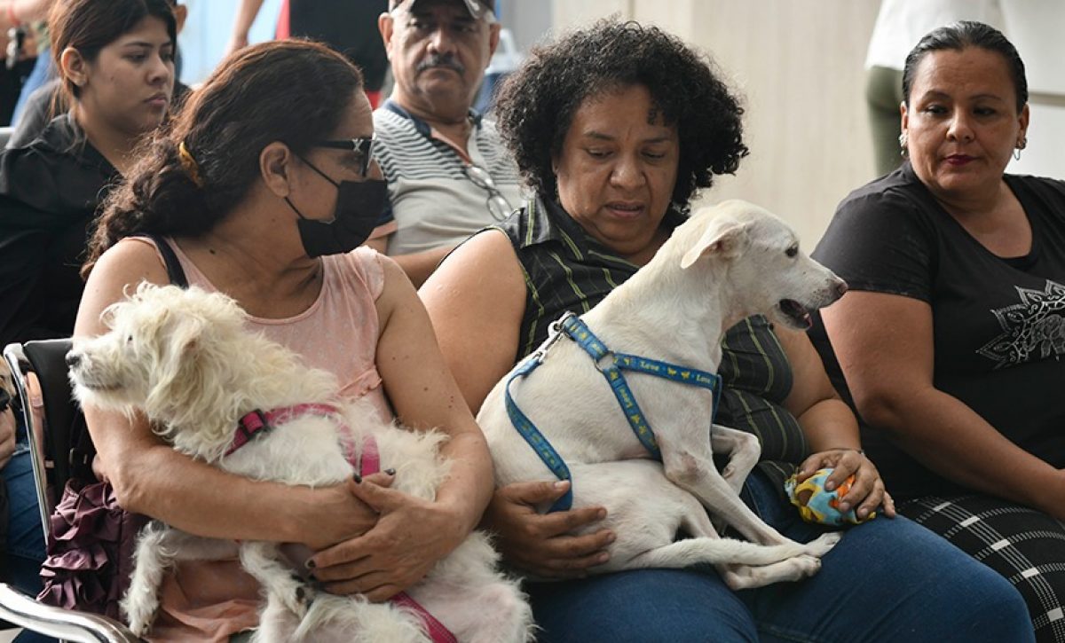 Las clínicas móviles recorren sectores como Guasmo, Fortín y Posorja, garantizando acceso a comunidades alejadas.