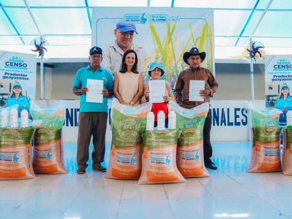 La producción arrocera en Guayas sostiene a miles de familias y abastece el mercado nacional, con un consumo anual de 700 mil toneladas.