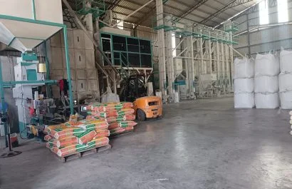 Gobierno impulsa compra directa de arroz para respaldar a productores de Guayas y Los Ríos