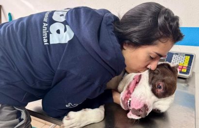 Golpeado en la calle la historia de Toretto y la rápida acción de la UBA