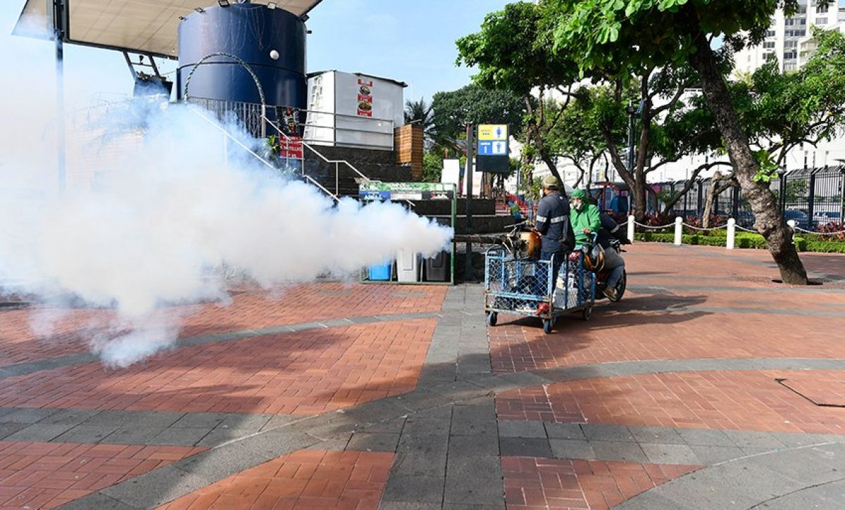 El Malecón Simón Bolívar, con sus 2,7 kilómetros, es un punto de encuentro cultural y turístico.