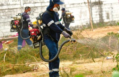 En enero, el Municipio visitó 4,726 hogares en Mapasingue. Este control de plagas alcanzó a 42,527 beneficiarios.