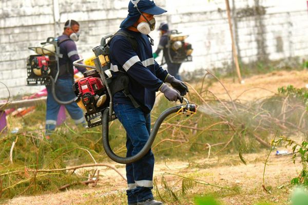 En enero, el Municipio visitó 4,726 hogares en Mapasingue. Este control de plagas alcanzó a 42,527 beneficiarios.