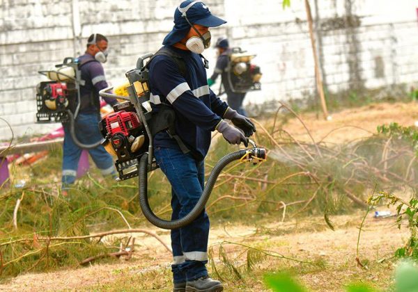 En enero, el Municipio visitó 4,726 hogares en Mapasingue. Este control de plagas alcanzó a 42,527 beneficiarios.