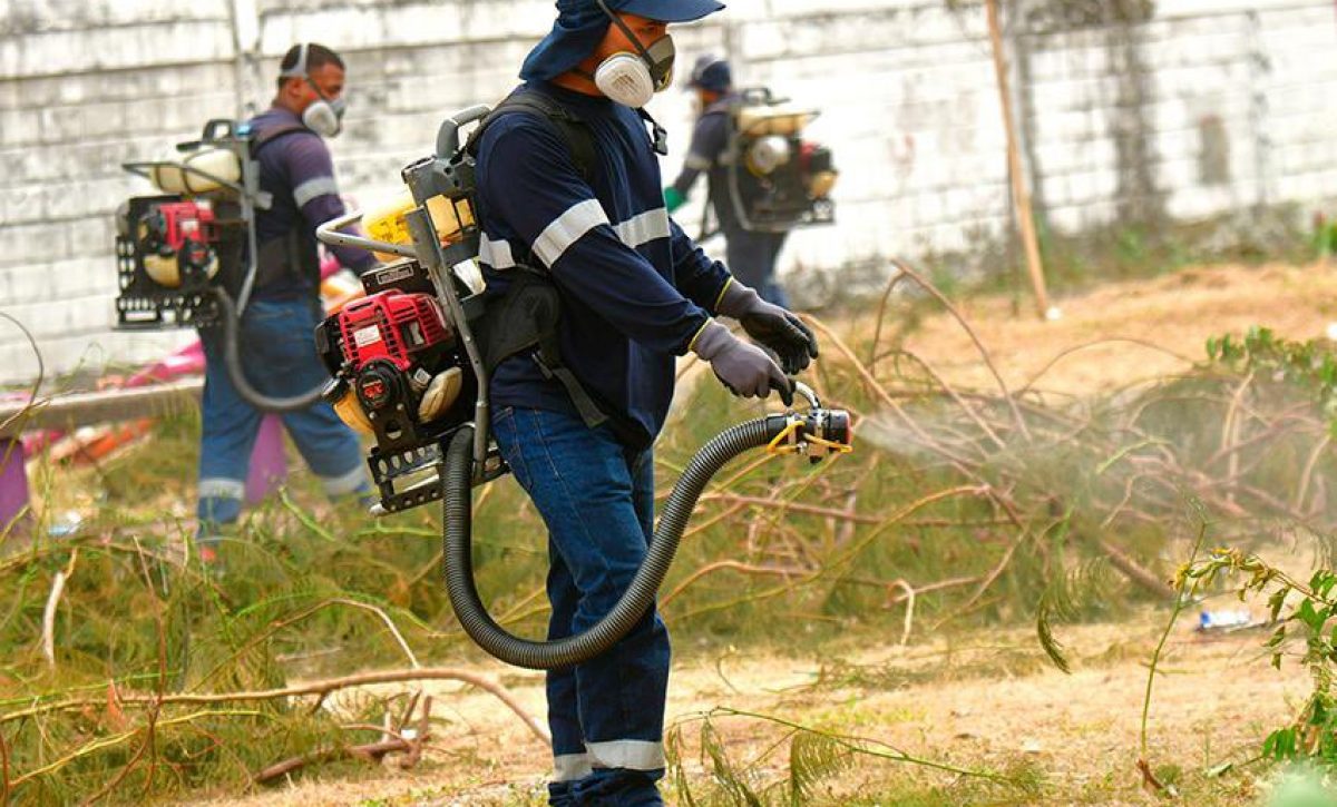 En enero, el Municipio visitó 4,726 hogares en Mapasingue. Este control de plagas alcanzó a 42,527 beneficiarios.