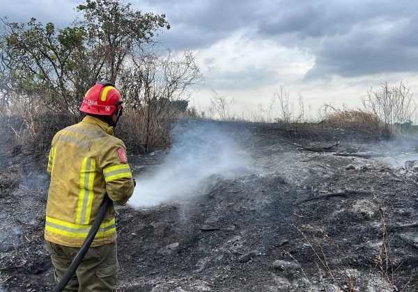 El 12 de junio de 2025, el Cuerpo de Bomberos atendió un incendio en la Av. Juan Tanca Marengo