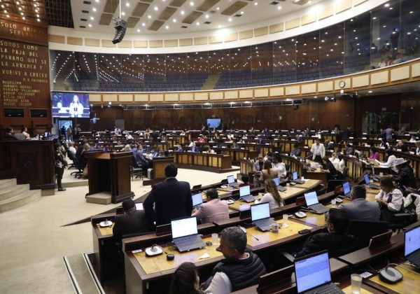 El proyecto de reforma fue enviado a la Asamblea el 17 de octubre de 2024, tras un dictamen de la Corte Constitucional (CC). FOTO: @AsambleaEcuador.