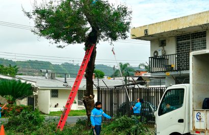 Quince espacios públicos fueron intervenidos en Urdesa Central durante una jornada liderada por el Municipio de Guayaquil y vecinos.
