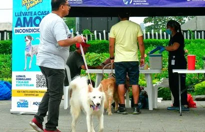 La ciudad de Guayaquil amplió sus servicios veterinarios y campañas de esterilización, llegando a sectores urbanos y rurales.