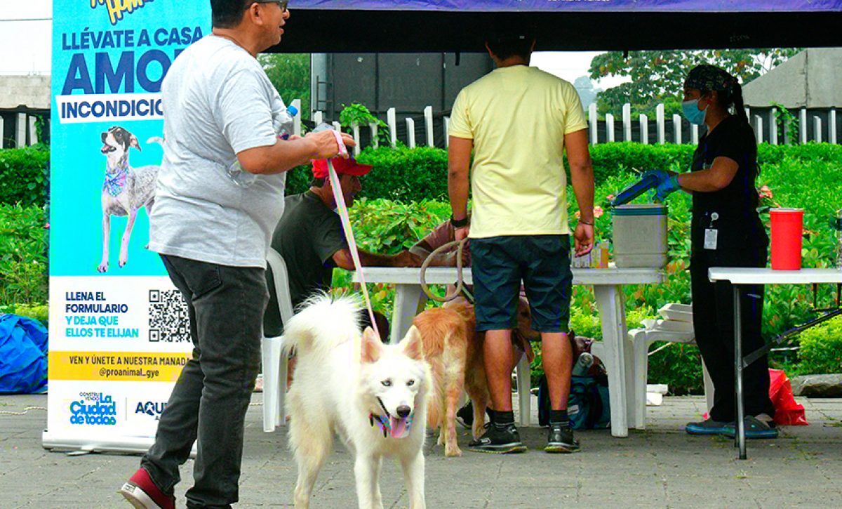 La ciudad de Guayaquil amplió sus servicios veterinarios y campañas de esterilización, llegando a sectores urbanos y rurales.