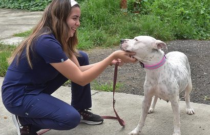 Más de 3.500 reportes ciudadanos por maltrato animal fueron atendidos en Guayaquil en el primer semestre de 2025.