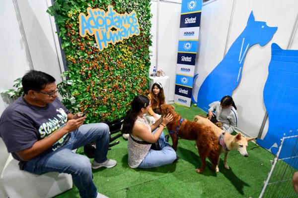 Guayaquil acogió una masiva edición de la Comic Con 2025, que combinó cultura pop, turismo, adopciones de animales.