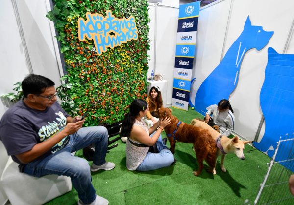 Guayaquil acogió una masiva edición de la Comic Con 2025, que combinó cultura pop, turismo, adopciones de animales.