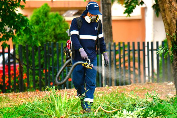 La Alcaldía de Guayaquil ejecutó una jornada de fumigación, desratización y limpieza en La Alborada.