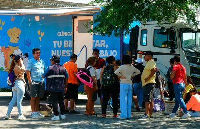 Durante los primeros cinco meses del año, Guayaquil ofreció más de 116.000 atenciones médicas gratuitas a perros y gatos.