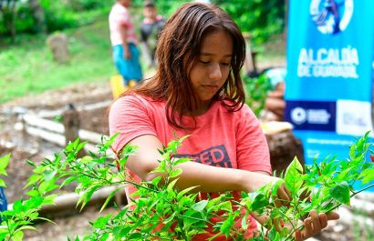 Familias de la comuna Daular, en la zona rural de Guayaquil, mejoran su alimentación con el Programa de Huertos Escolares.