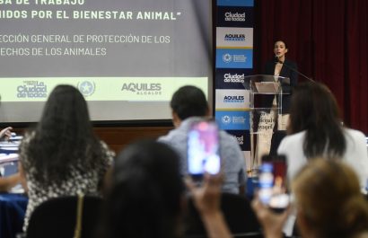 Municipio de Guayaquil reunió a organizaciones para acordar acciones urgentes frente al aumento de denuncias por abandono, maltrato animal.