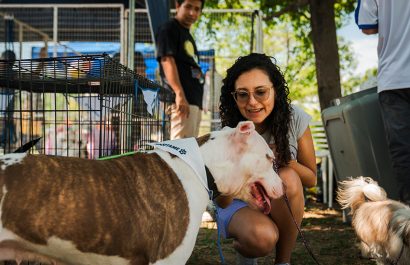 El Municipio de Guayaquil ejecuta una campaña de adopción de animales con beneficios gratuitos permanentes.