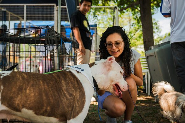 El Municipio de Guayaquil ejecuta una campaña de adopción de animales con beneficios gratuitos permanentes.