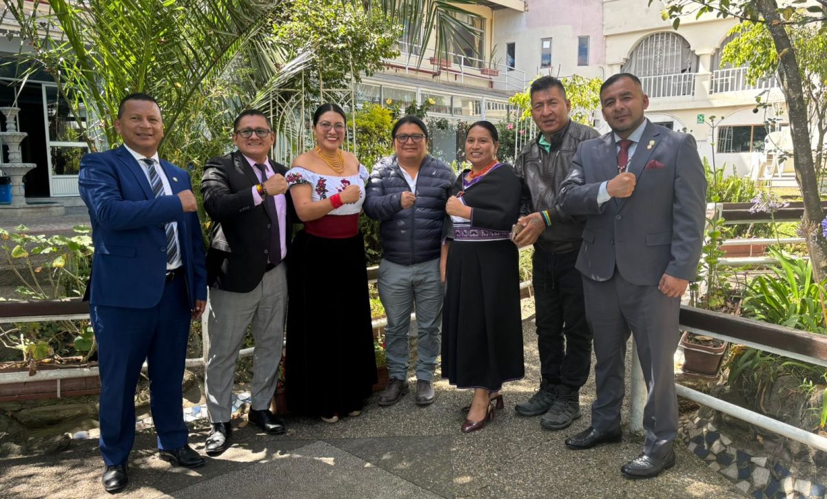 Los asambleístas expulsados pertenecen a la bancada de Pachakutik en la Asamblea Nacional y han respaldado iniciativas del Gobierno de ADN en sesiones legislativas recientes.