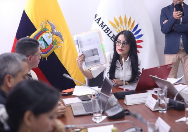 Viviana Veloz, presidenta de la Comisión, quien exigió declarar en emergencia el sector salud. FOTO: @AsambleaEcuador.